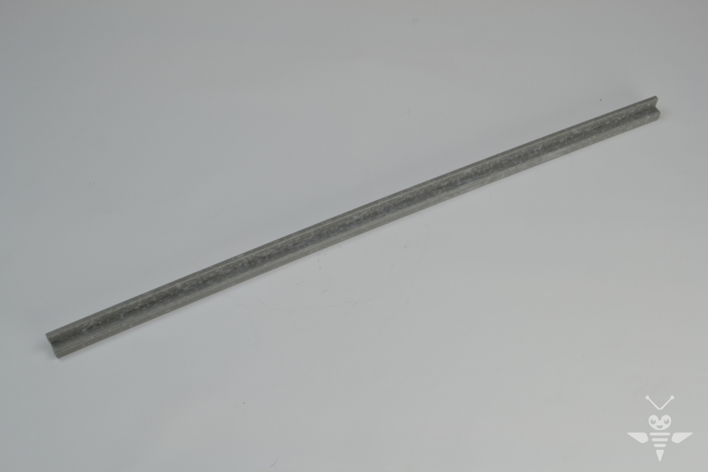 Gleitschiene